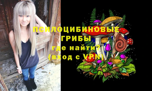 крисы Ладушкин