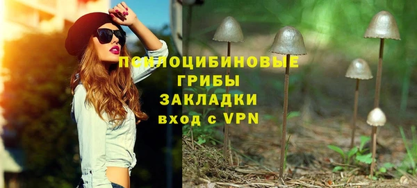 альфа пвп Магас