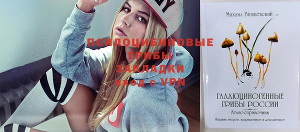 винт Майский