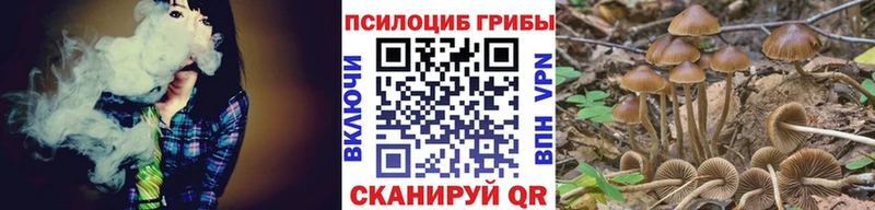 купить  сайты  Симферополь  Галлюциногенные грибы мухоморы 