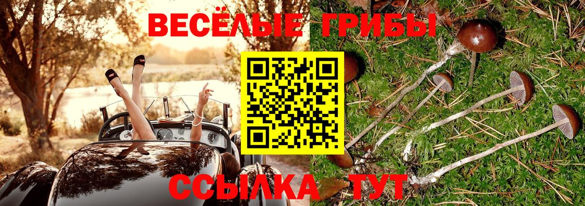 Псилоцибиновые грибы GOLDEN TEACHER  купить наркотик  Симферополь  Вход с VPN 