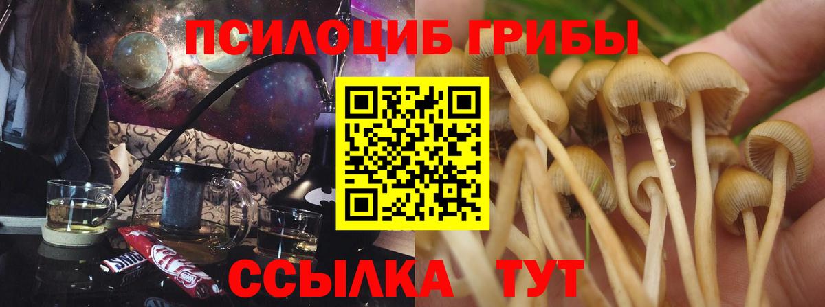 Галлюциногенные грибы Psilocybine cubensis Симферополь