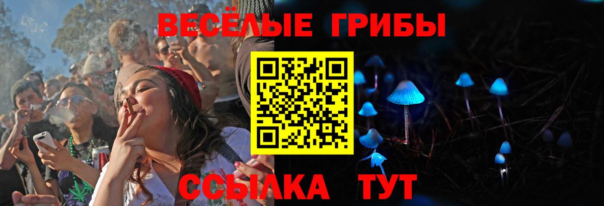 Псилоцибиновые грибы Magic Shrooms  Симферополь 
